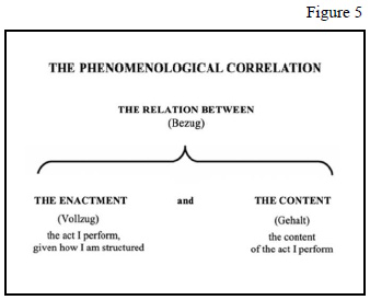 The phenomenological correlation